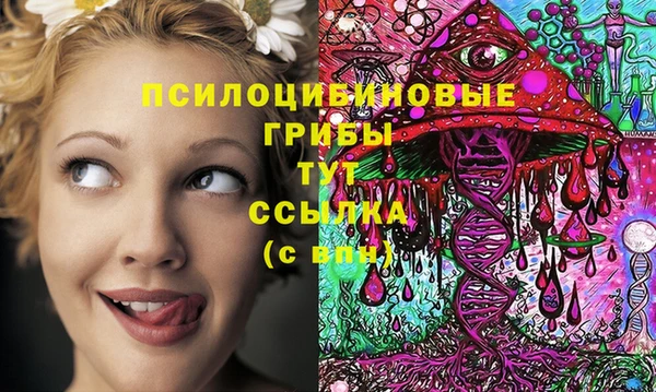 СК Корсаков