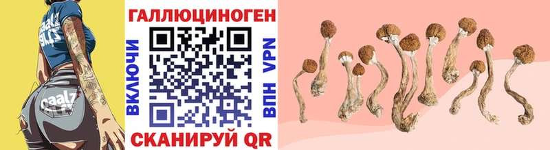 Купить закладки  Архангельск  Псилоцибиновые грибы Cubensis 